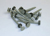 Taylor 96028 Galvanized #6 Nails w/Washers 1/8# 12/Cd